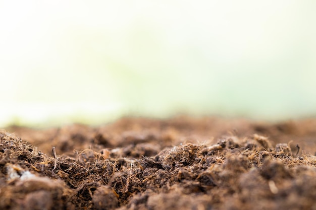 bodemtextuur met groene achtergrond