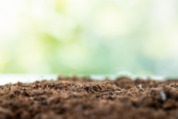 bodemtextuur met groene achtergrond