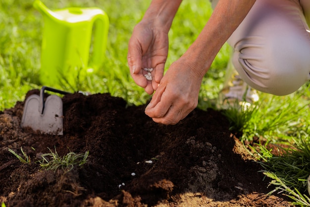 Bodemverrijking. Close-up van vrouwelijke handen die de grond verrijken in de buurt van een zojuist geplante boom op een mooie zomerdag