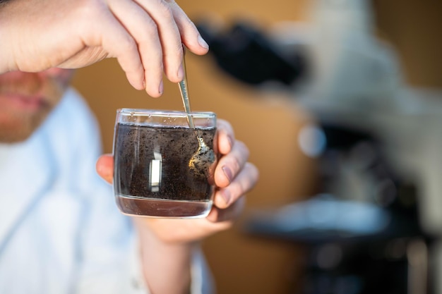 bodemwetenschapper die een bodem in een hand houdt in een bodemlaboratorium in Australië