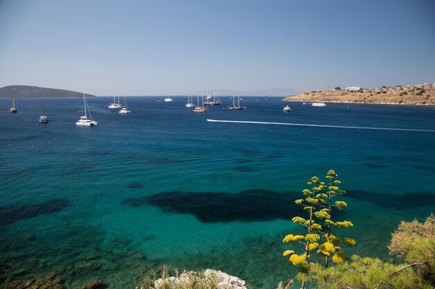 Bodrum Town