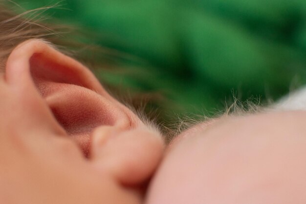 Photo body hair of a newborn baby fluff