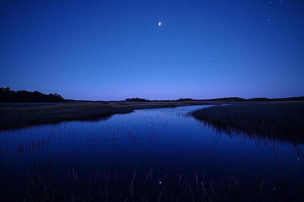 Photo a body of water surrounded by tall grass under a night sky