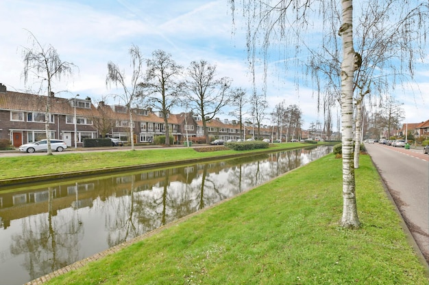 A body of water with trees in front of houses