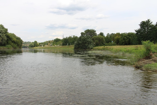 A body of water with trees and grass