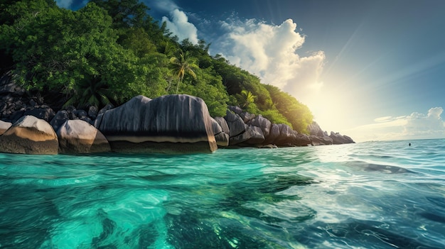 a body of water with trees and rocks