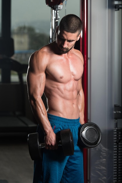 Bodybuilder Exercising Biceps With Dumbbells