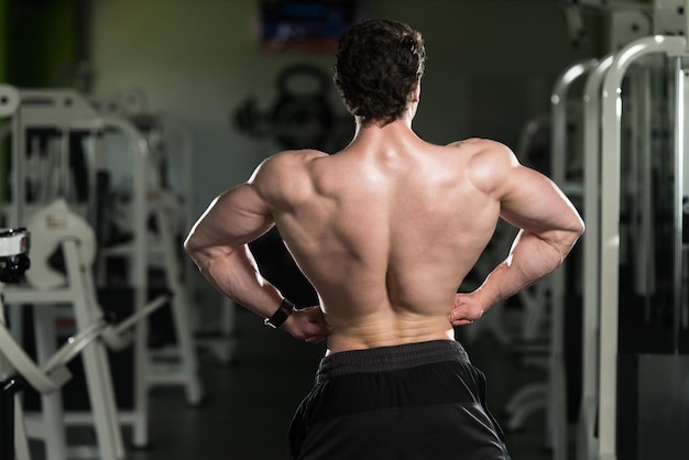 Bodybuilder back Images - Search Images on Everypixel