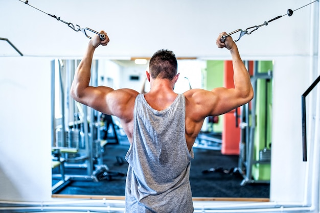 Bodybuilder working out the biceps in the gym Sports concept