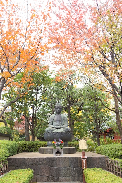 Boeddha in het park