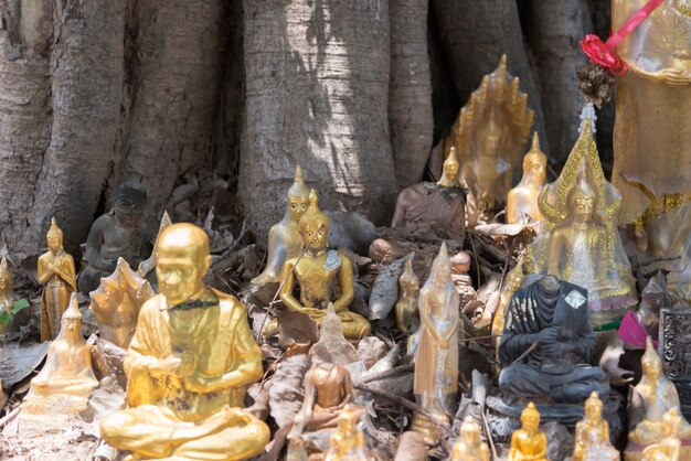 Boeddhabeeld in boeddhistische tempel wat lo sutthawat