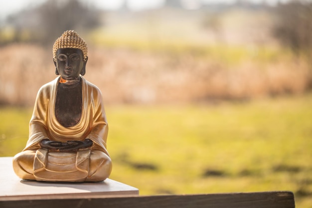 Foto boeddhabeeld in india ontspanningsbalans en spiritualiteit