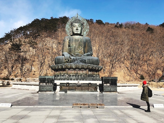 Foto boeddhabeeld tegenover de berg.