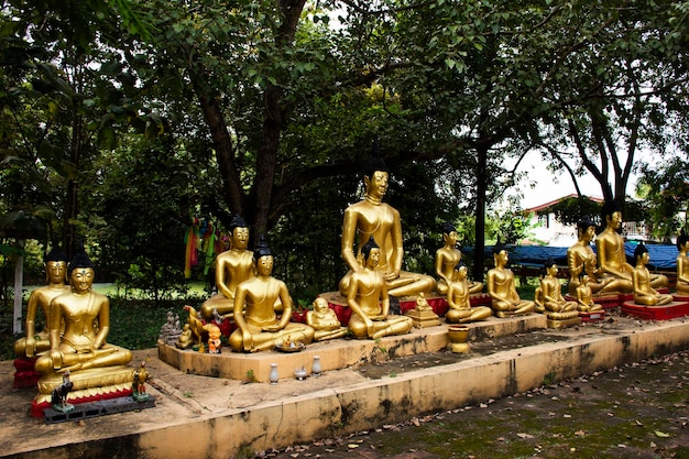 Boeddhabeelden Wat Dusitaram tempel in Phra Nakhon Si Ayutthaya Thailand