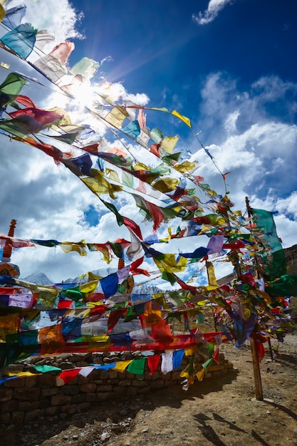 Boeddhistische gebedsvlaggen in de Himalaya