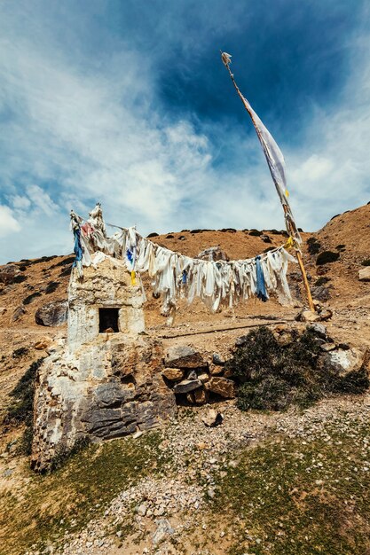 Boeddhistische gebedsvlaggen lungta in spiti vallei india