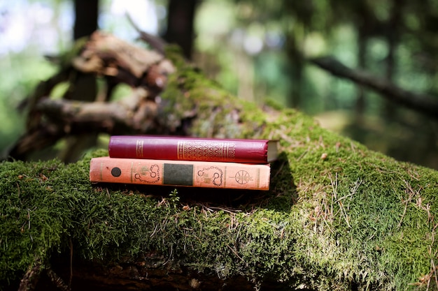 Boek buiten. Kennis is macht. Boek in een bos. Boek op een stronk