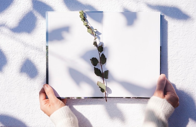 boek in handen met mooie schaduw