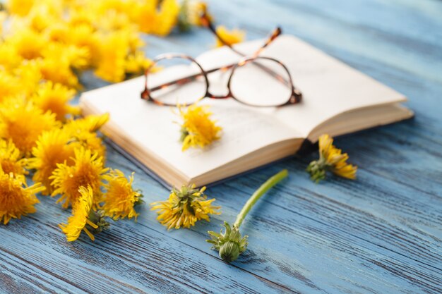 Boek in het bloeiende veld van paardebloemen