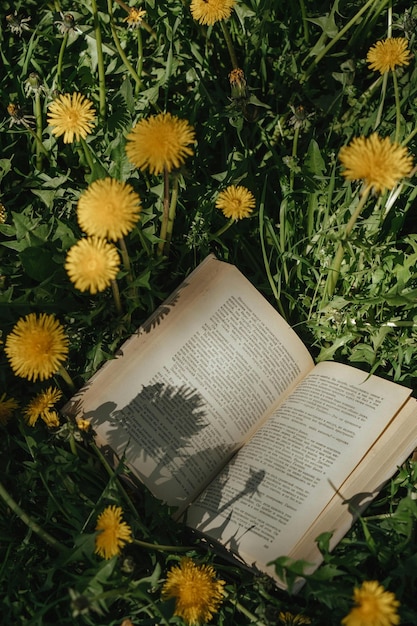 Boek liggend in het gras tussen paardenbloemen Foto