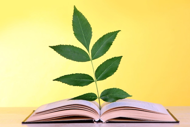 Foto boek met plant op tafel op gele achtergrond