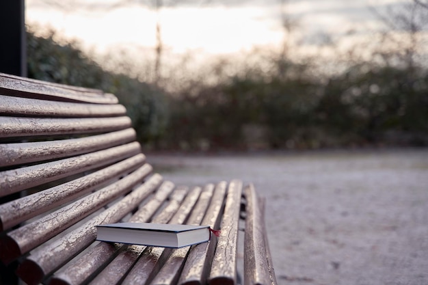 Boek vergeten in een bankje in het park