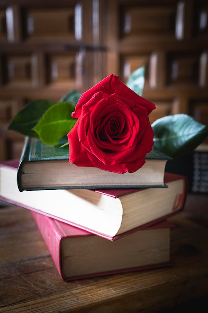 Boeken en rozen Symbolen van de dag van het boek en van San Jordi in Catalonië, Spanje