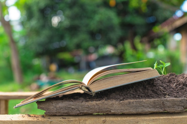 boeken in gras