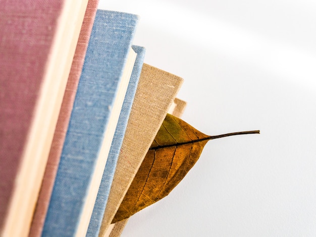 Boeken of leerboeken met droge herfstbladeren op een witte tafel, bovenaanzicht.