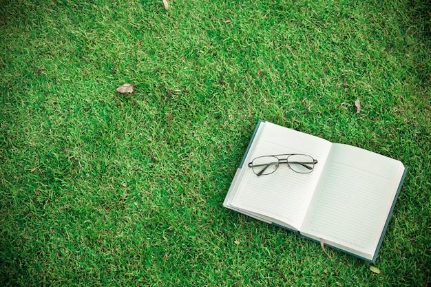 Boeken over het gras in het park Vintage Tone