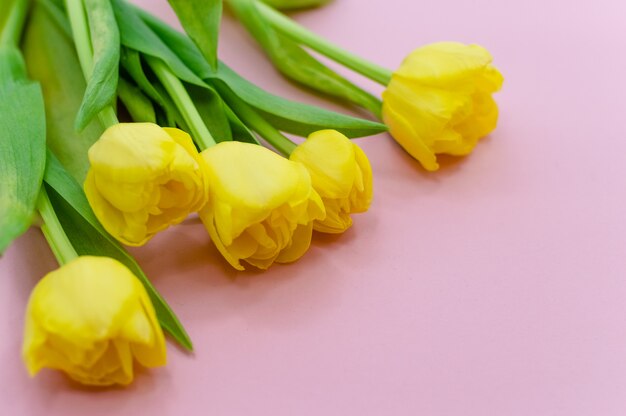 Boeket gele lente tulpen op roze achtergrond