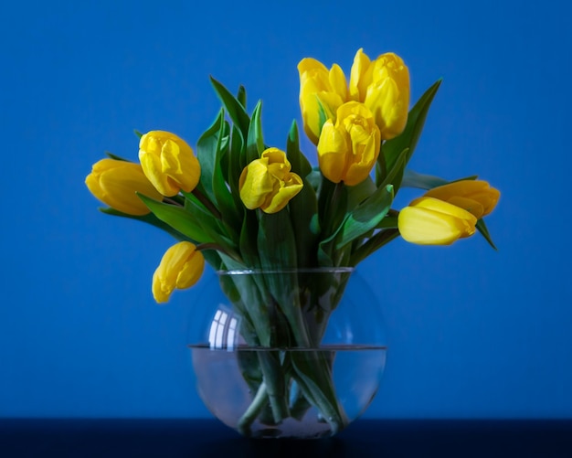 Boeket gele tulpen in een ronde glazen vaas op een blauwe achtergrond