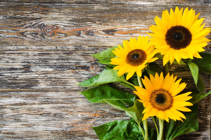 Foto boeket gele zonnebloemen op vintage gestructureerde houten tafel.