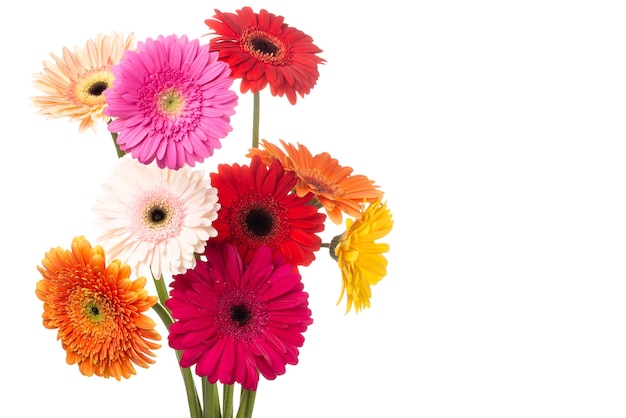 Foto boeket gerbera madeliefjes