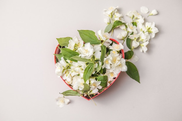 Boeket jasmijn in geschenkdoos valentijnsdag bloemen felicitatie decoratief kader