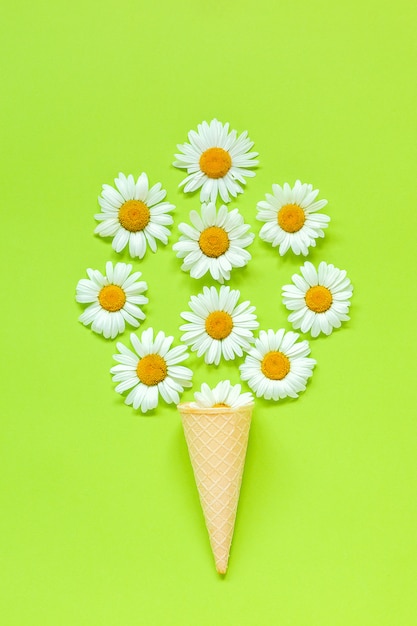 Boeket kamille madeliefjes bloemen in wafel ijsje