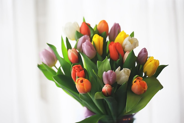 boeket kleurrijke tulpen / lentebloemen, heldere mooie bloemen, lentegeschenkconcept