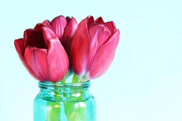 Boeket lentetulpen in een pot op een blauwe achtergrond zijaanzicht Bloemen met lege ruimte