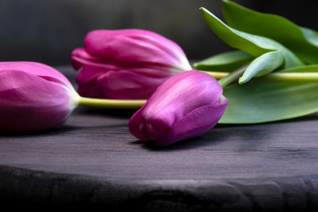 Foto boeket lila tulpen op tafel