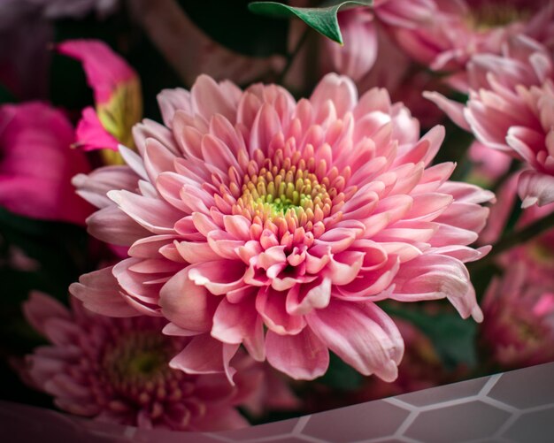 Boeket met roze chrysanten