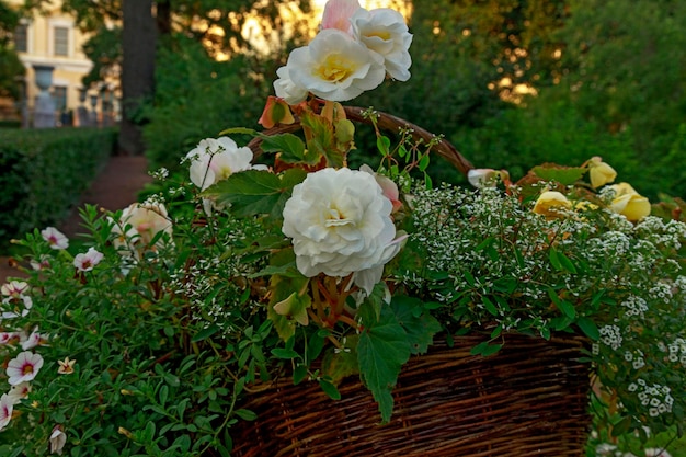 Boeket met witte bloemen en groene bladeren in de mand Close-up van mooie zomer bos Tuin gehuld in groen