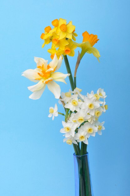 Boeket narcissen in een vaas