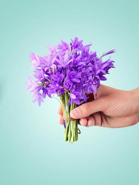 Boeket paarse hyacinten in een mannenhand