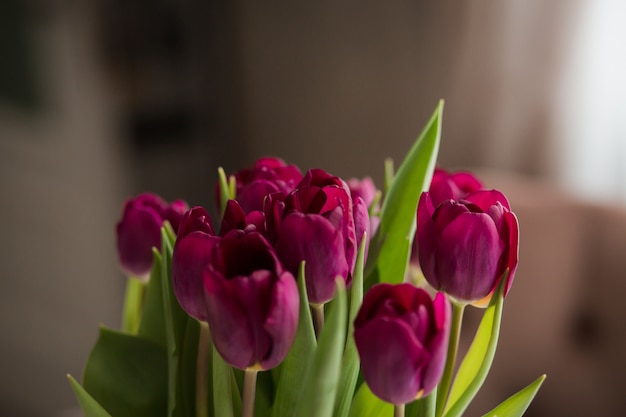 boeket paarse tulpen