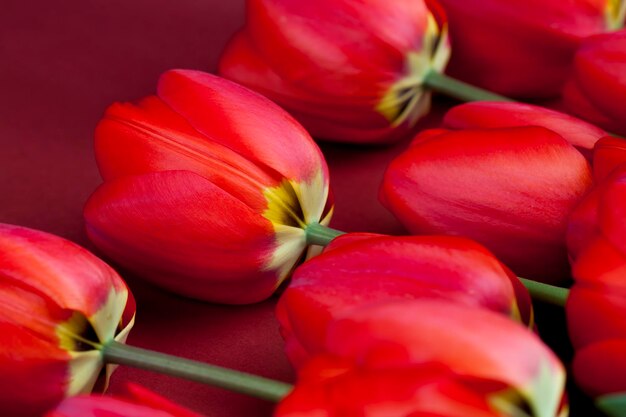 Boeket rode tulpen om te geven op vakantie