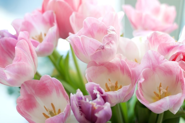 boeket roze verse tulpen bovenaanzicht