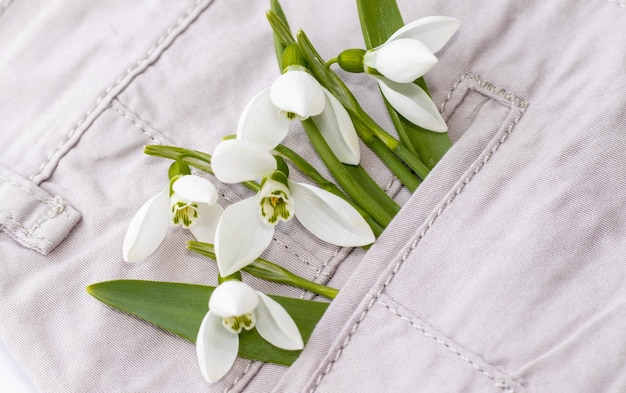 boeket sneeuwklokjes in een zak van beige broek voor kinderen hallo lente concept vrouwen moederdag