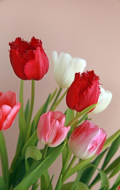 Boeket tulpen close-up Vrouwendag moederdag Valentijnsdag verjaardag viering concept wenskaart