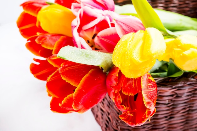 Foto boeket tulpen close-up