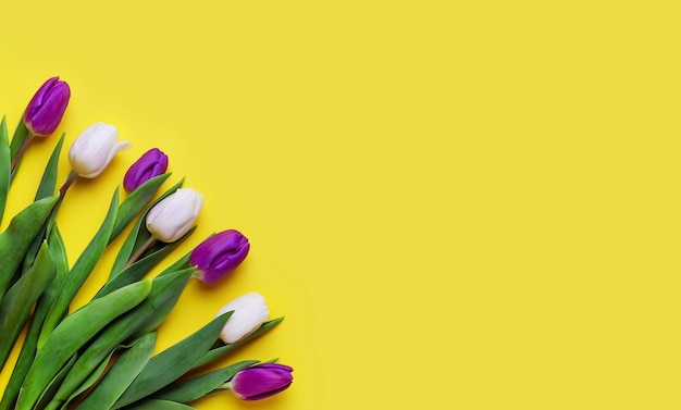 boeket tulpen op een gele achtergrond